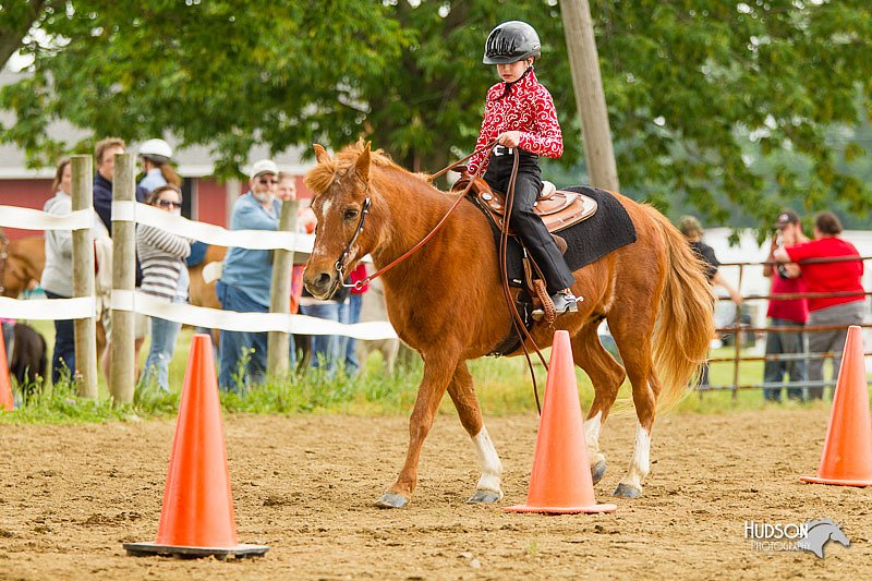 4H-FUN-060813-0871.jpg