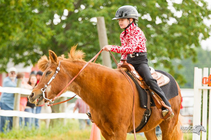 4H-FUN-060813-0872.jpg