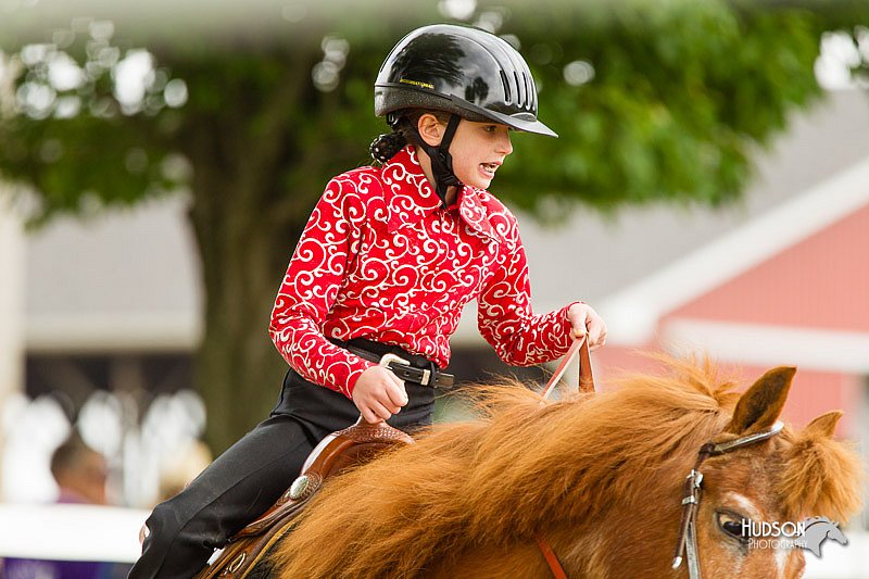 4H-FUN-060813-0873.jpg