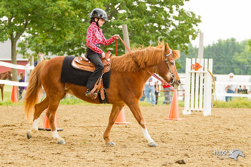 4H-FUN-060813-0874.jpg