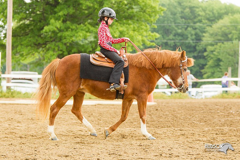 4H-FUN-060813-0875.jpg