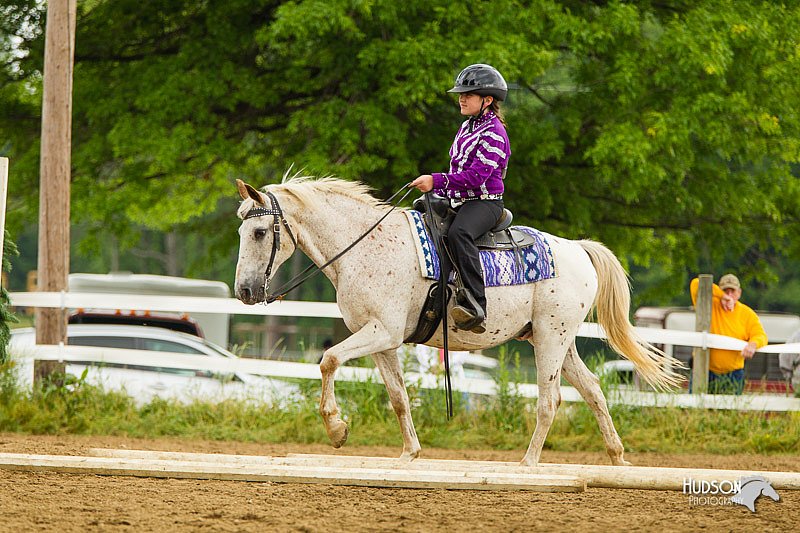 4H-FUN-060813-0877.jpg