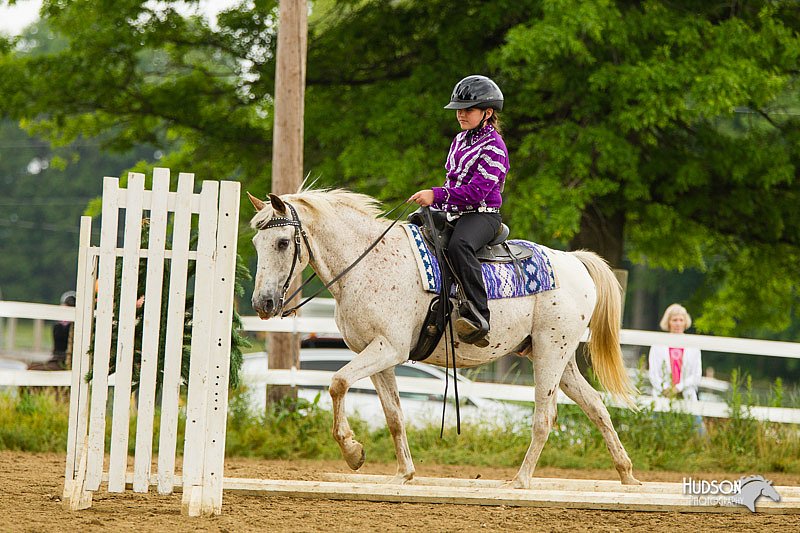 4H-FUN-060813-0878.jpg