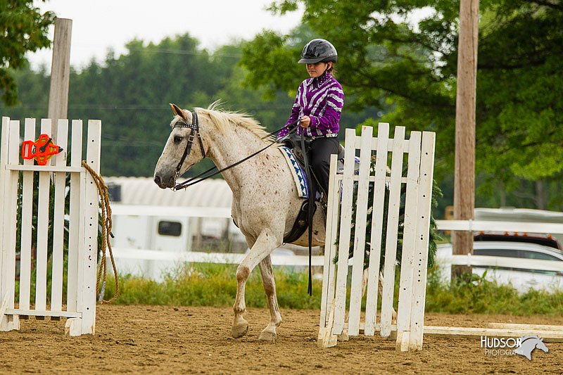 4H-FUN-060813-0879.jpg