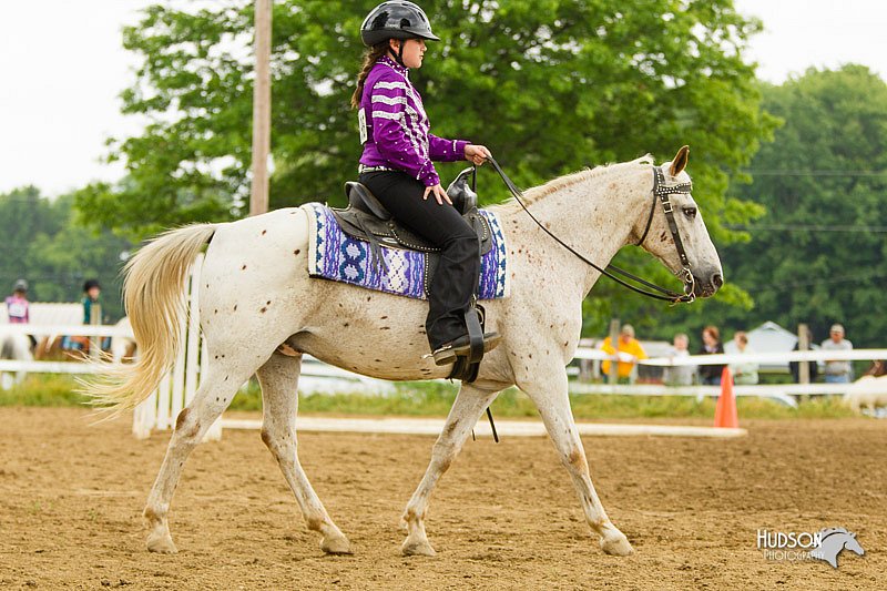 4H-FUN-060813-0882.jpg