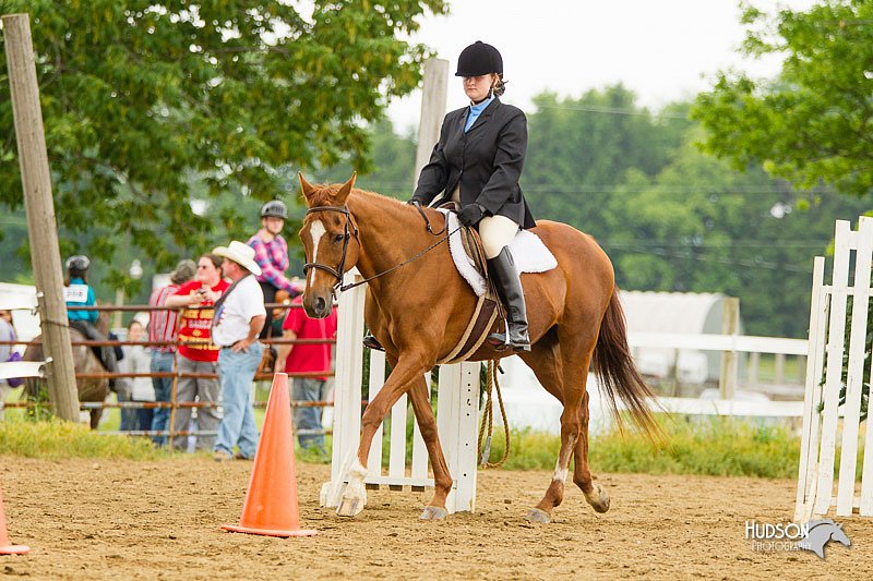 4H-FUN-060813-0886.jpg
