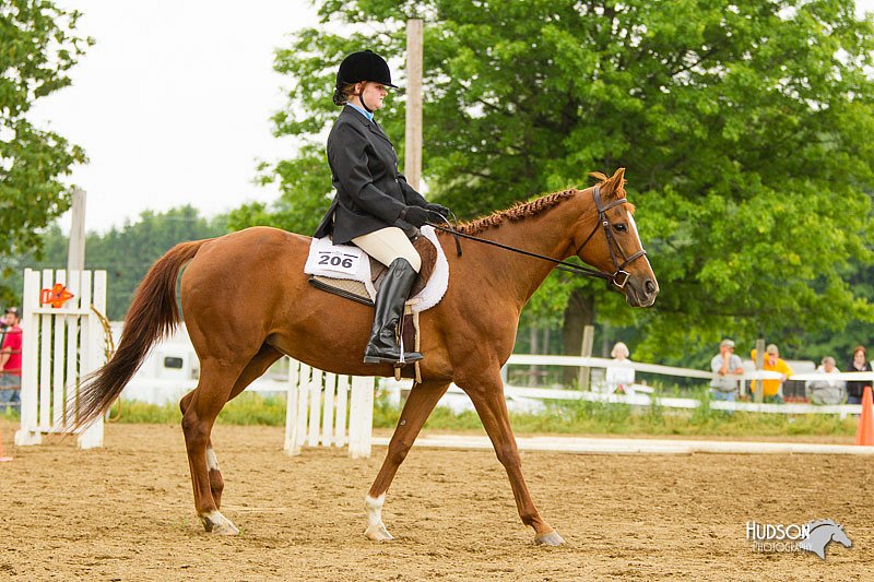 4H-FUN-060813-0889.jpg
