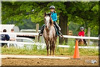 4H-FUN-060813-0809.jpg