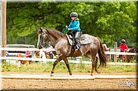 4H-FUN-060813-0810.jpg