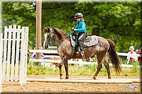 4H-FUN-060813-0811.jpg