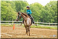 4H-FUN-060813-0815.jpg