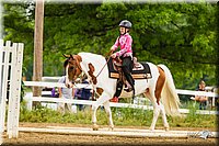 4H-FUN-060813-0830.jpg