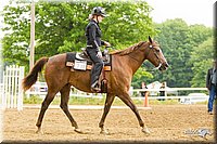 4H-FUN-060813-0846.jpg