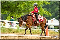 4H-FUN-060813-0847.jpg