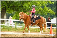 4H-FUN-060813-0865.jpg