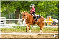 4H-FUN-060813-0866.jpg