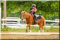 4H-FUN-060813-0867.jpg