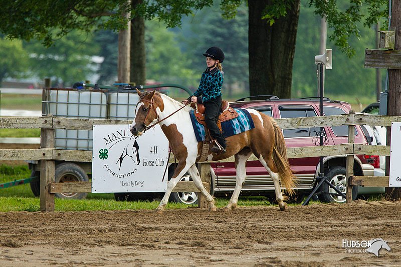 4H-FUN-060813-1340.jpg
