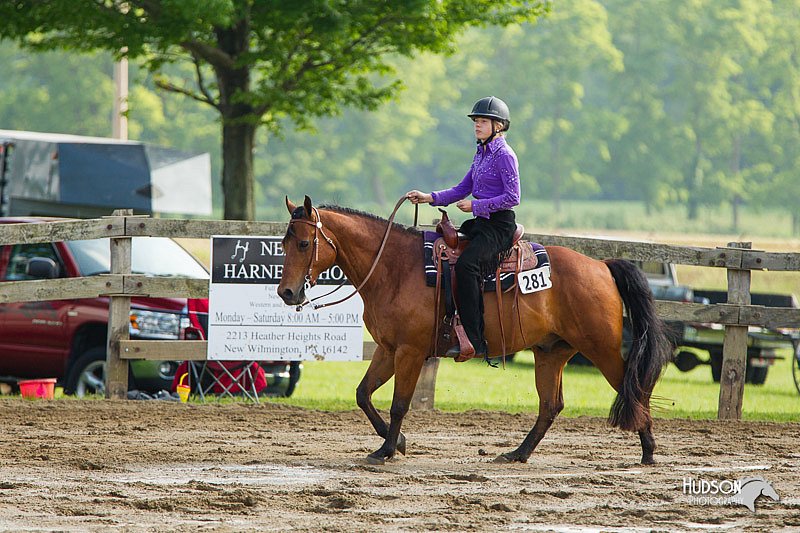4H-FUN-060813-1317.jpg
