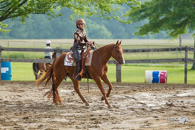 4H-FUN-060813-1328.jpg