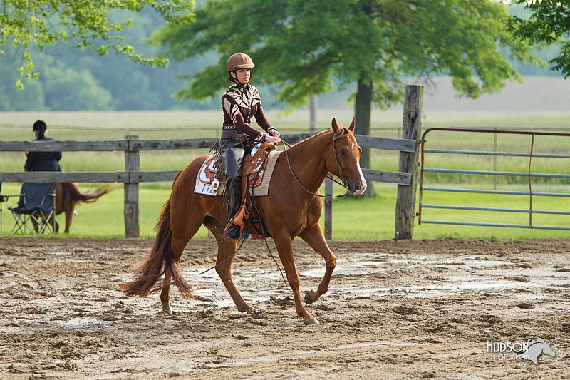 4H-FUN-060813-1329.jpg