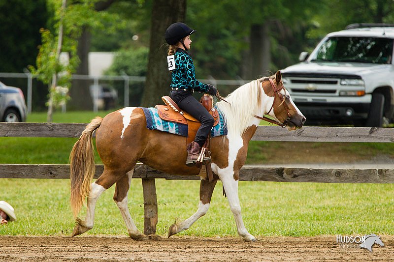 4H-FUN-060813-1062.jpg