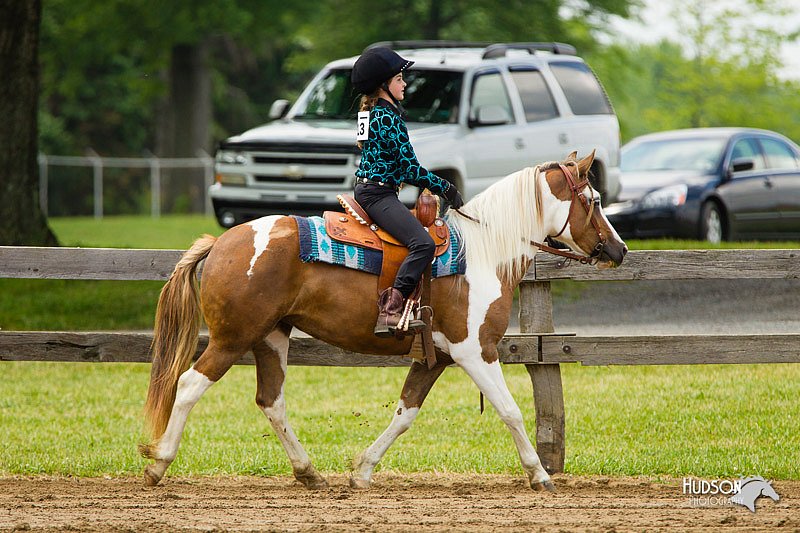 4H-FUN-060813-1063.jpg