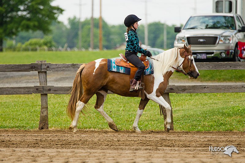 4H-FUN-060813-1065.jpg