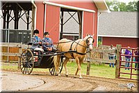 Pleasure-Horse-Driving