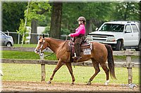 Western-Pleasure-Pony