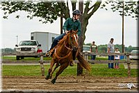 Poles-Horse