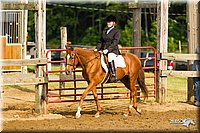 WT-Equitation-Horse