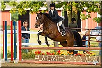 Hunt-Seat-Equitation-Jr-Fences