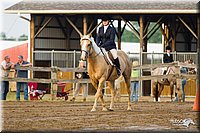 Hunt-Seat-Equitation-Sr