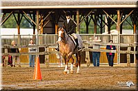 Hunt-Seat-Equitation-Jr