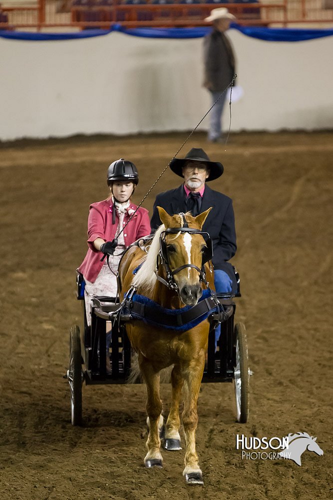 4H-Sate-102513-0097.jpg