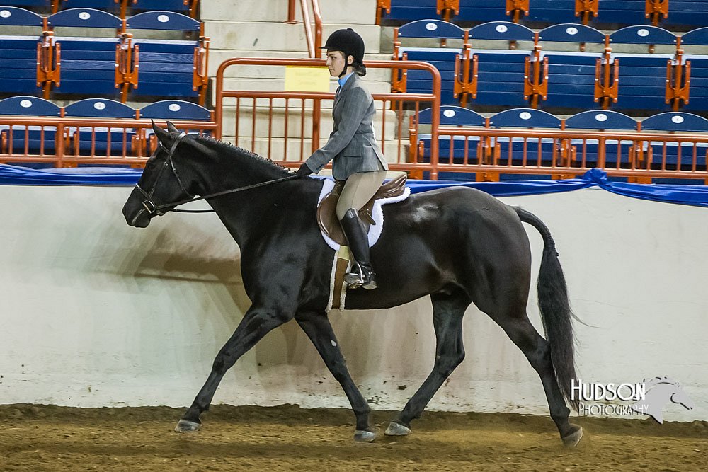 4H-Sate-102513-0231.jpg