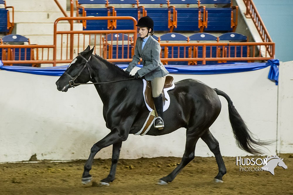 4H-Sate-102513-0242.jpg