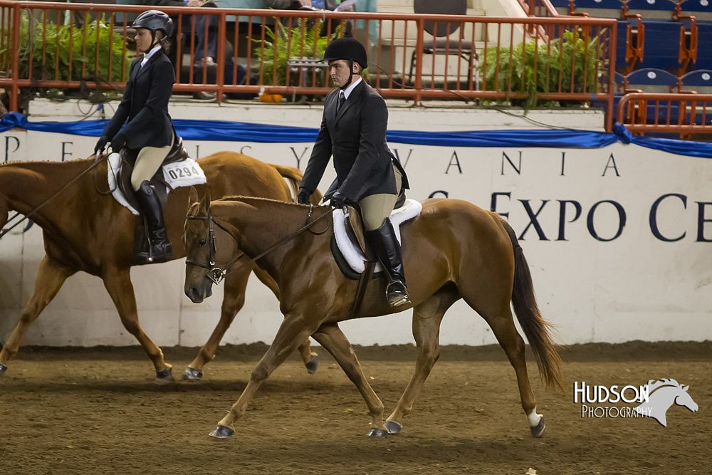 4H-Sate-102513-0253.jpg