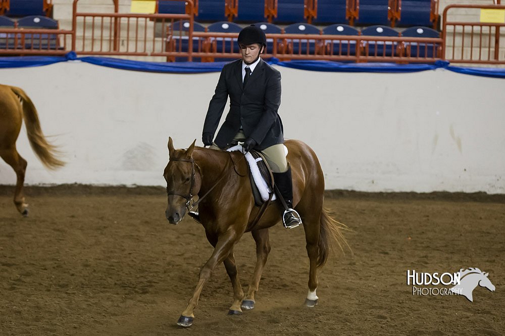 4H-Sate-102513-0256.jpg