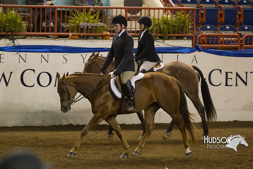 4H-Sate-102513-0257.jpg