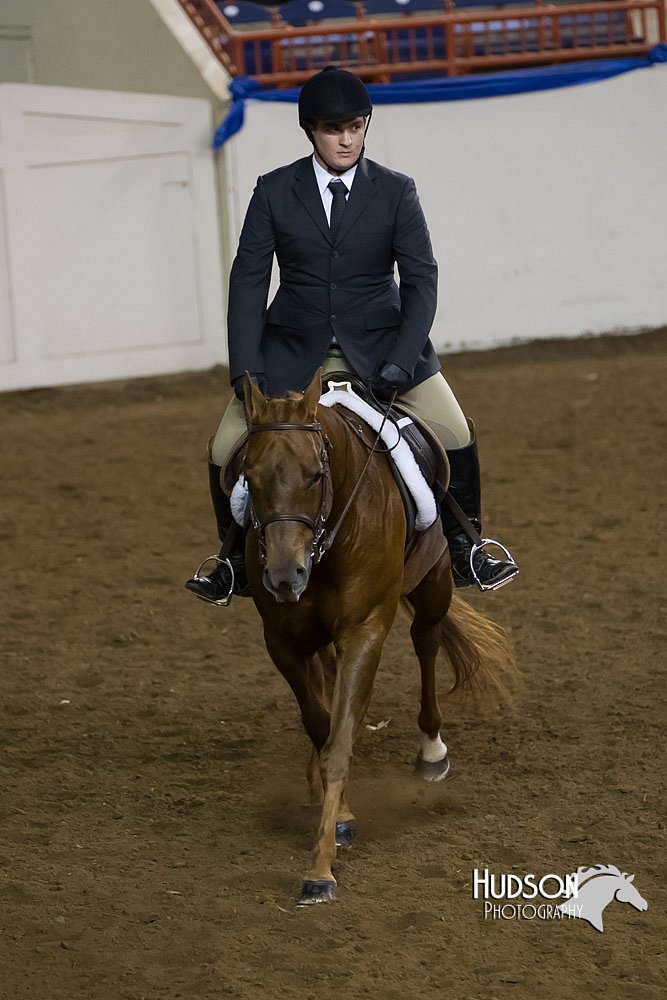 4H-Sate-102513-0260.jpg