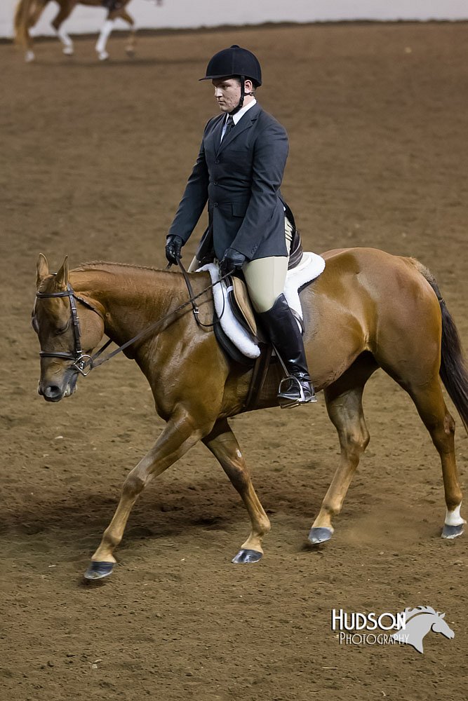 4H-Sate-102513-0262.jpg