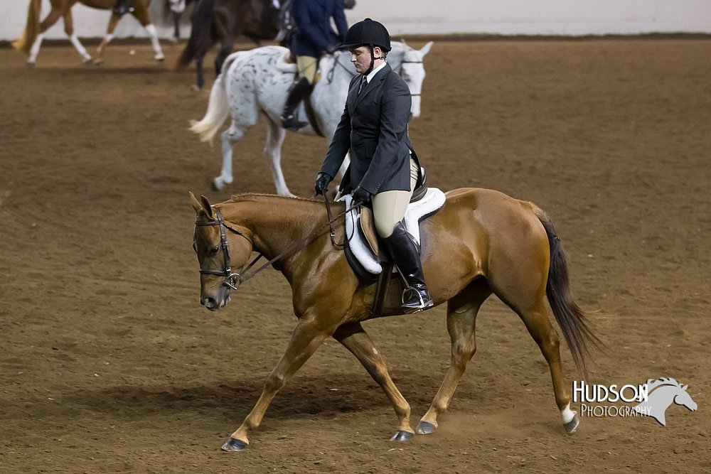4H-Sate-102513-0266.jpg