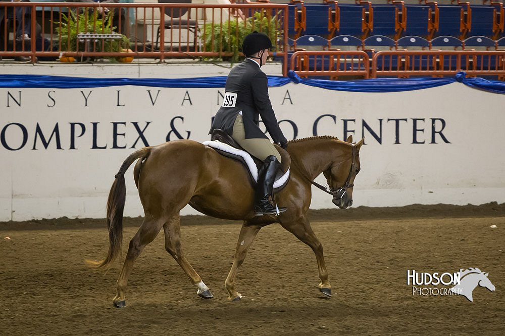 4H-Sate-102513-0267.jpg