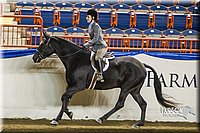 4H-Sate-102513-0240.jpg