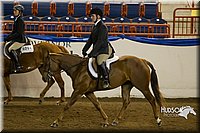 4H-Sate-102513-0254.jpg