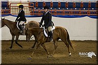 4H-Sate-102513-0258.jpg