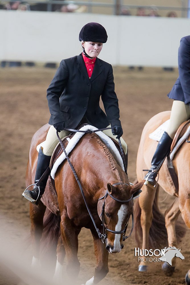 4H-Sate-102713-1205.jpg