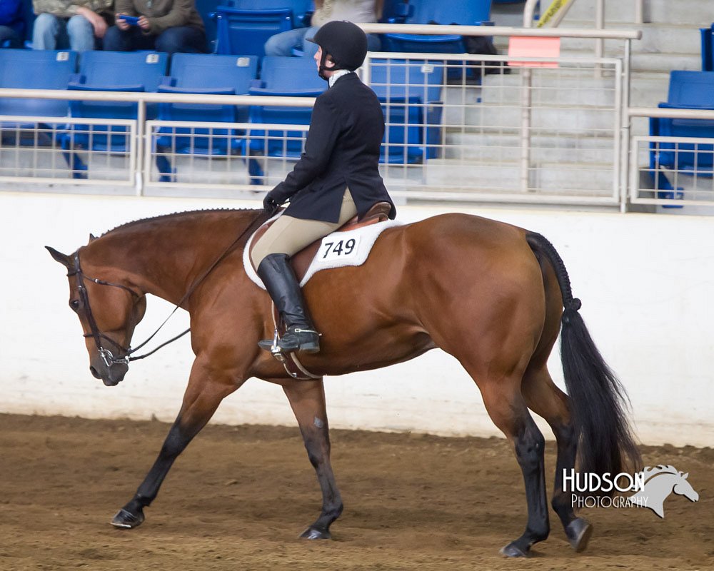 4H-Sate-102713-1220.jpg